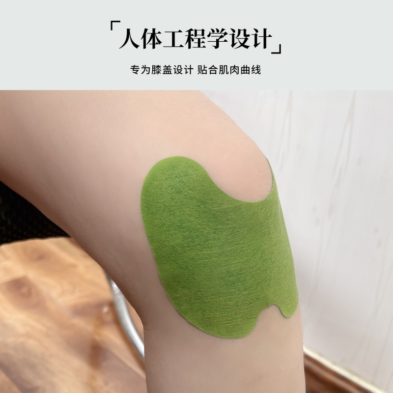 真艾堂 048-5 灼粹艾草膝盖贴12贴/盒 【五盒装】高清大图