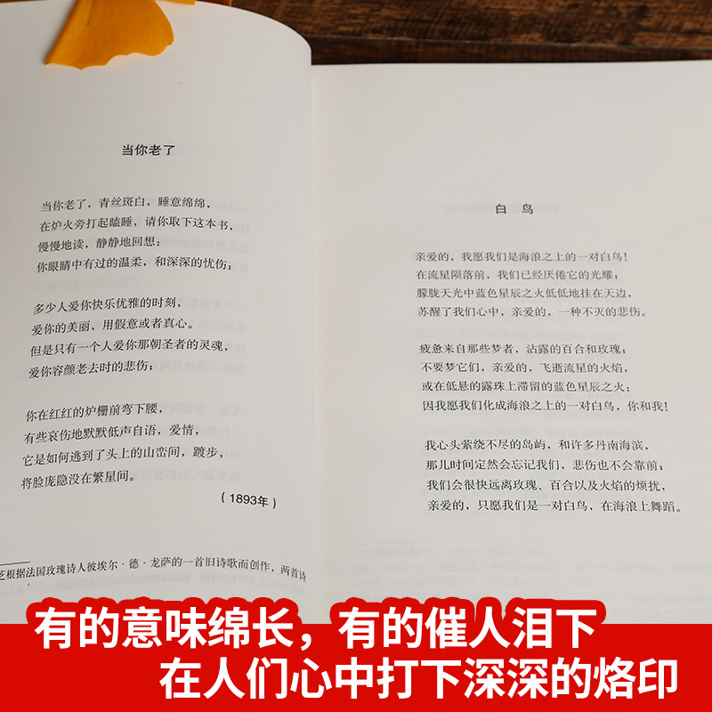 [正版]当你老了叶芝经典爱的诗集诺贝尔文学奖获奖作品100首爱情诗现代诗歌名家精选集外国诗歌散文书籍唯美文学经典散文诗集高清大图