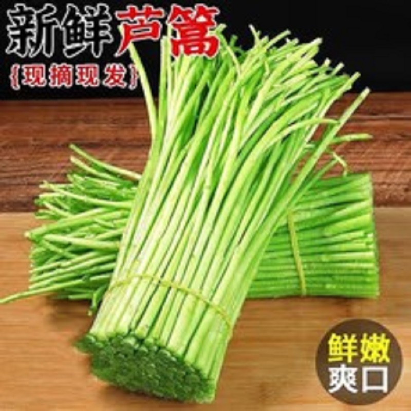 叶菜类净菜高清大图