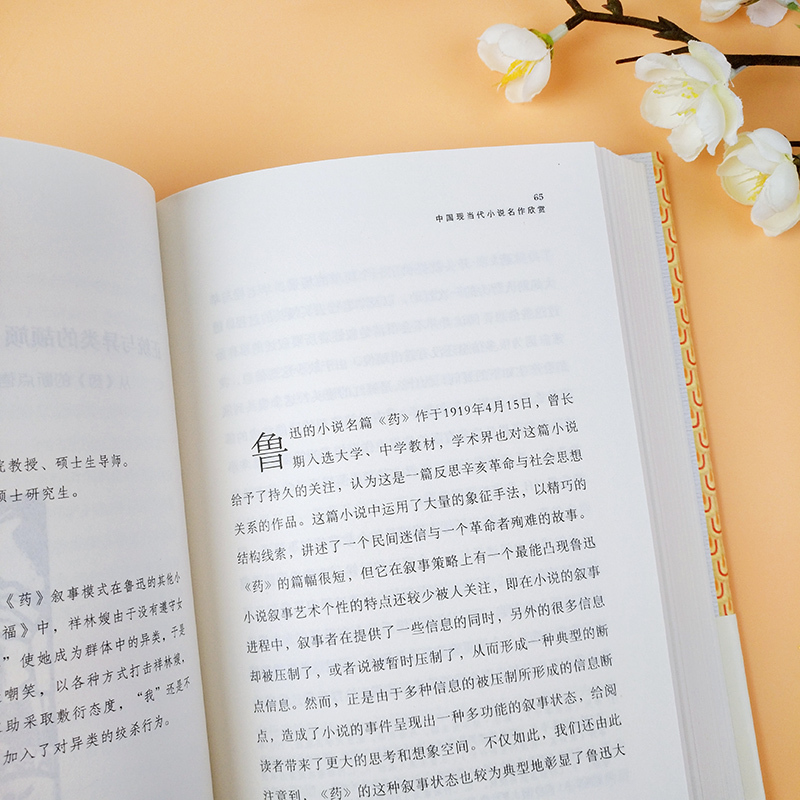 中国现当代小说名作欣赏 [正版]中国现当代小说名作欣赏 陈思和 跟着名家读经典系列 名家赏析 文学名作 文学普及读物 文
