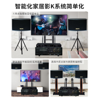 奔腾(BNTN)家庭音响KTV音响 家庭影院套装 卡拉OK 会议专业音箱大功率功放 8150配BTKT10