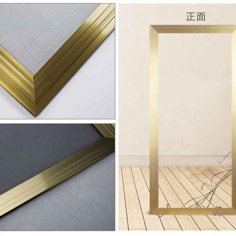 定制防蚊纱窗推拉式铝合金塑钢平移通用不锈钢网防鼠小金刚纱窗 香槟色+防鼠小金刚