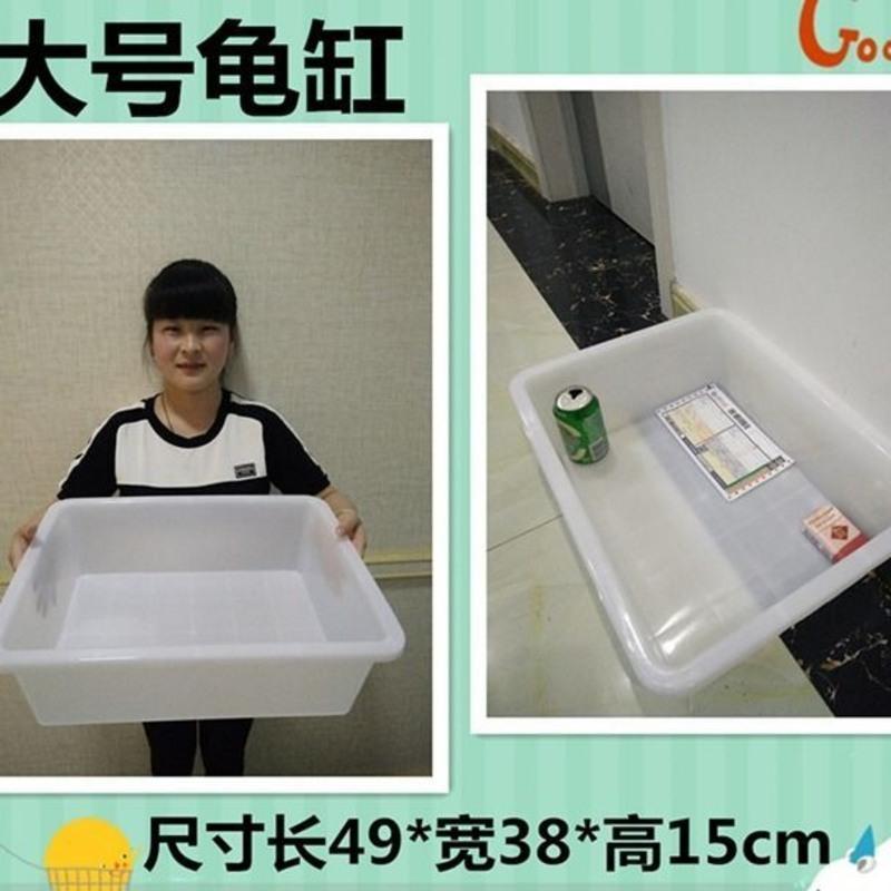乌龟缸特大号龟箱塑料过滤造景白色饲养盒子小号整理箱带晒台 小号龟缸[特价]