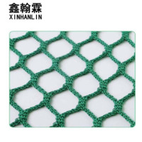 鑫翰霖 足球网防护网聚乙烯网100*100cm /平米