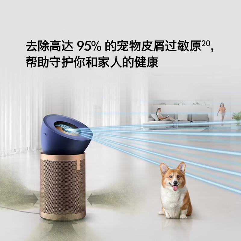 戴森(DYSON)空气净化器 除甲醛家用凉风 空气净化机去烟味净化器空气风扇BP06 蓝金色高清大图