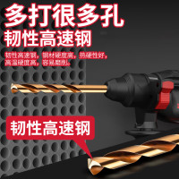 德力西（DELIXI）高硬度麻花钻头不锈钢合金钢铁韧性高速钢打孔DLX-042T【25件套】