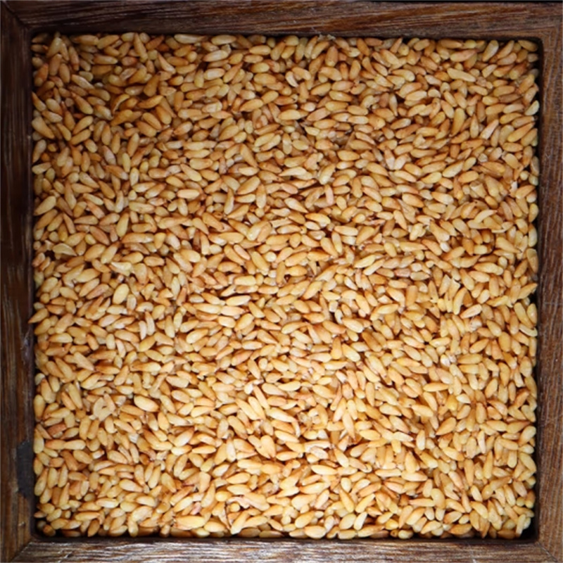 新货柏子仁100克干货袋装无硫去壳柏实正品柏籽仁柏树种籽仁泡水泡茶高清大图