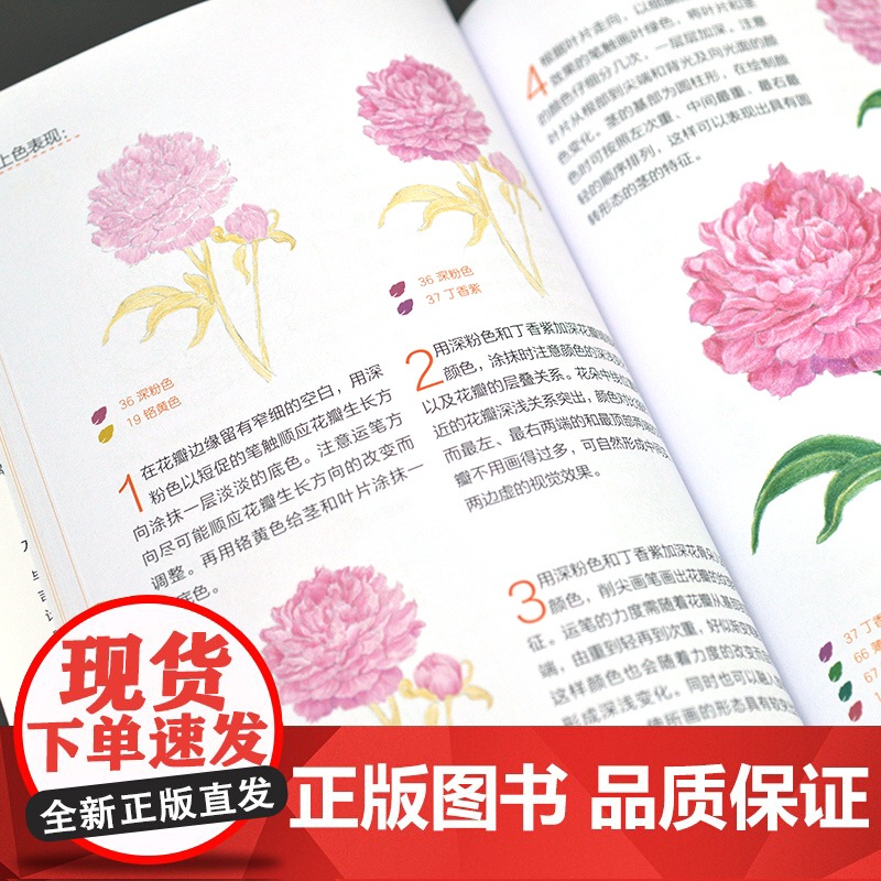 色铅笔手绘入门 古诗词植物绘高清大图