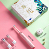 博皓声波电动牙刷家用成人款全自动牙刷学生党软毛牙刷情侣款男女通用电动牙刷 2421/T31
