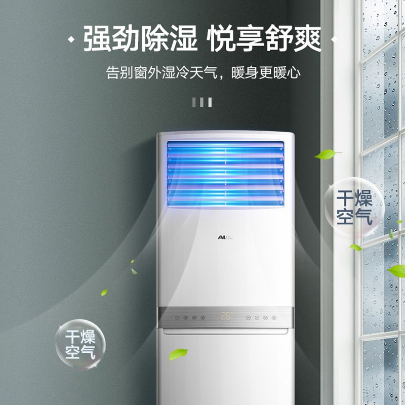 奥克斯(AUX)立式2匹 变频空调柜机 新能效 自动清洁 冷暖空调KFR-51LW/BpR3AKC(B3)高清大图