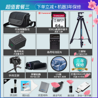 索尼(SONY) HDR-CX405 数码高清摄像机 家用/办公/手持DV摄像机/录像机 光学防抖 礼包版