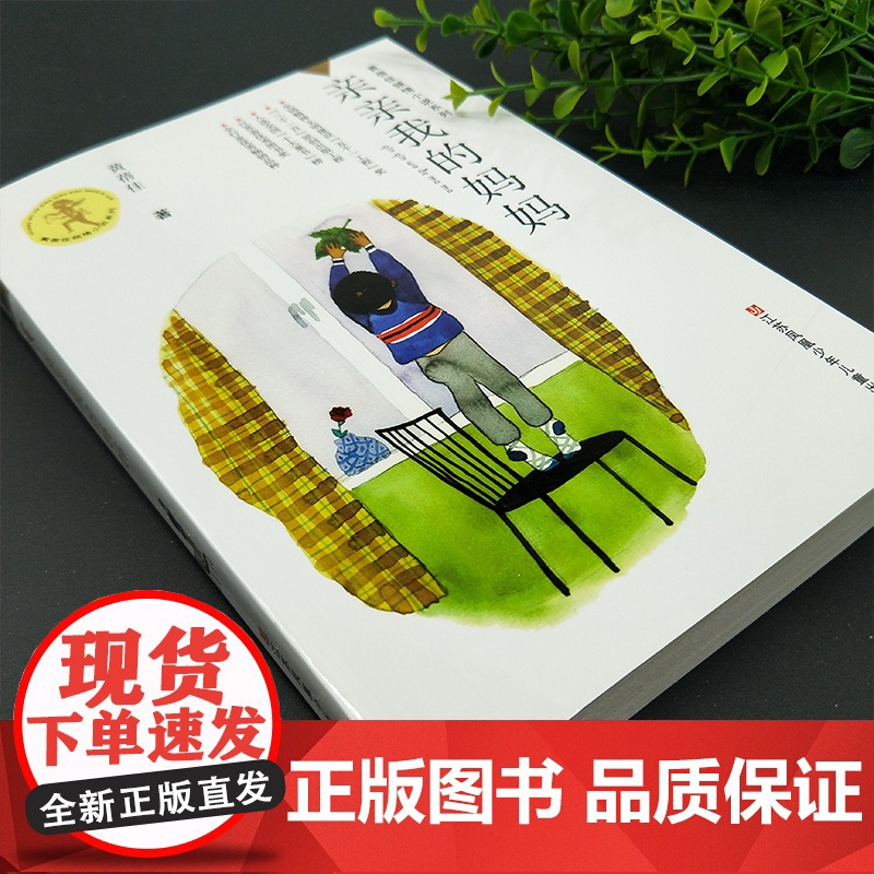 亲亲我的妈妈/黄蓓佳倾情小说,一部深切关注单亲家庭孩子成长的长篇小说,笔触温情高清大图