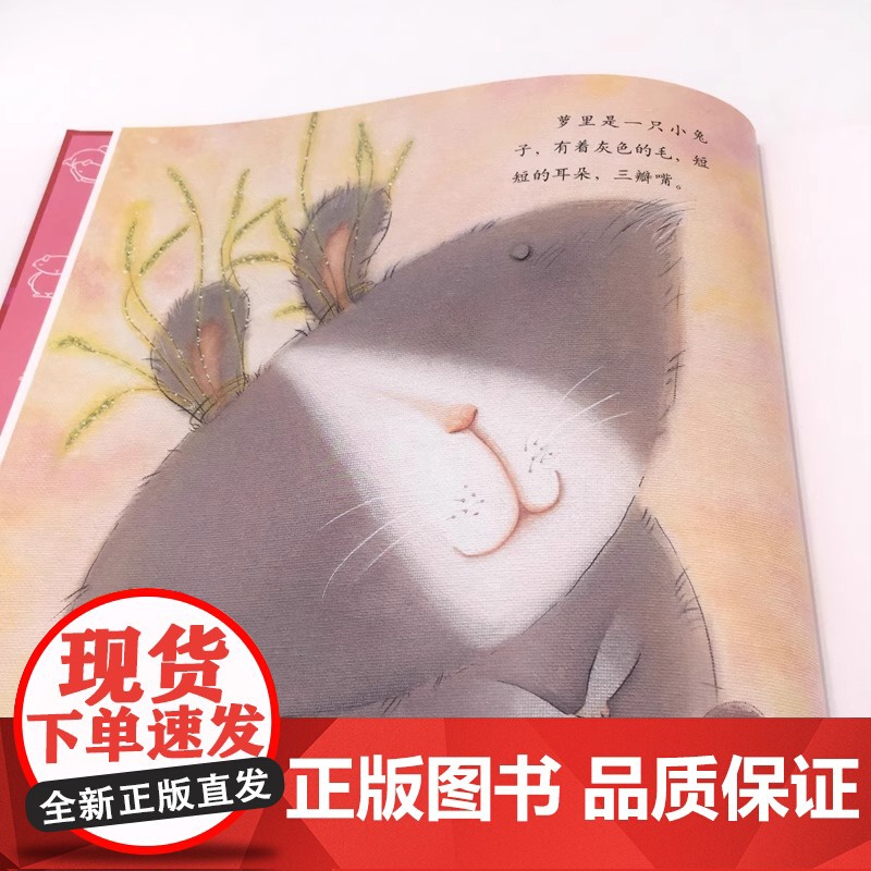 正版兔子萝里绘本精装王一梅著心灵成长图画书幼儿园绘本儿童3-6周岁自信心培养绘本亲子阅读睡前故事书儿童书籍海燕正版高清大图