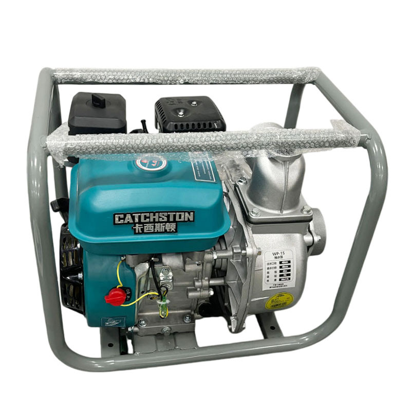 卡西斯顿 抽水泵 WP-40A 台高清大图