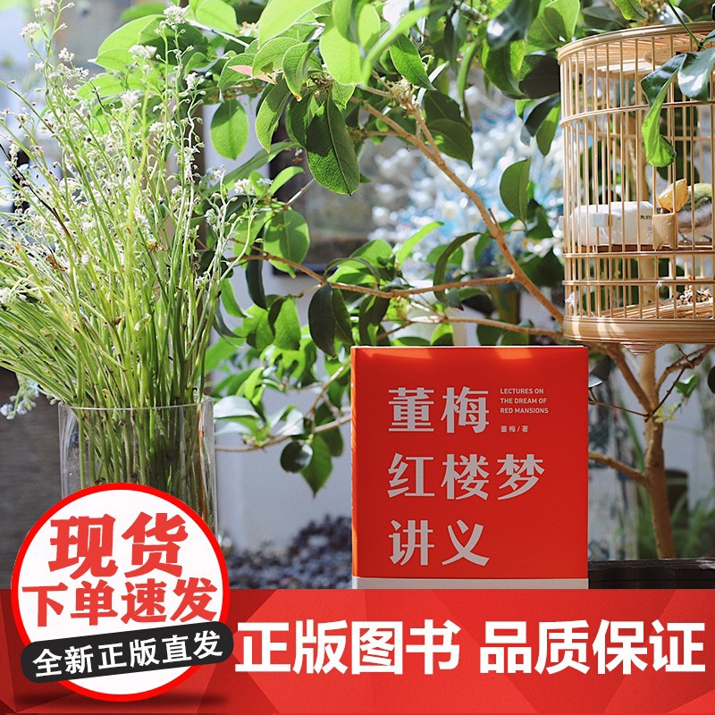 [央视网]董梅红楼梦讲义 中央美院董梅教授重磅新作 罗振宇称赞的宝藏学者 30年潜心研读红楼梦 SS高清大图
