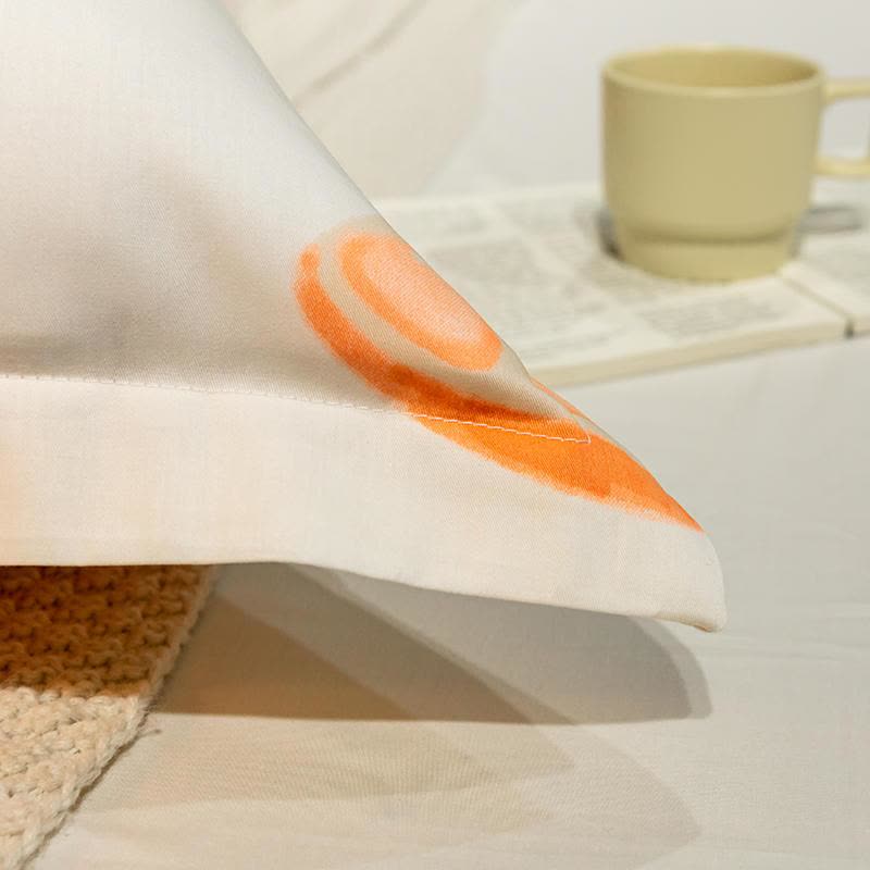 全棉印花长枕头单只装家用双人枕头颈椎护颈情侣枕头芯床上用品图片