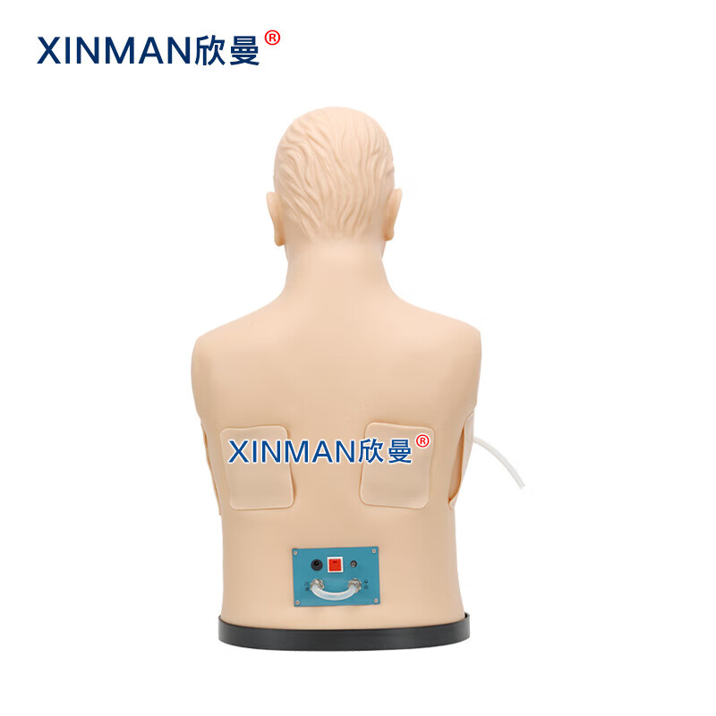 欣曼科教 胸腔穿刺引流模型 胸腔穿刺模拟训练模块XM-2021高清大图