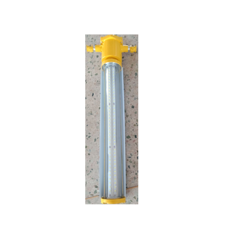 DINT 矿用隔爆型LED巷道灯 DGS36/127L(A) 48W M