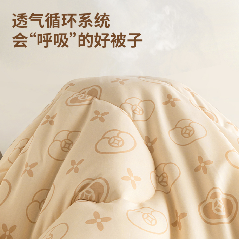 恒源祥 HYX758BZ A类抗菌磨毛暖肤被-云宝200*230cm高清大图