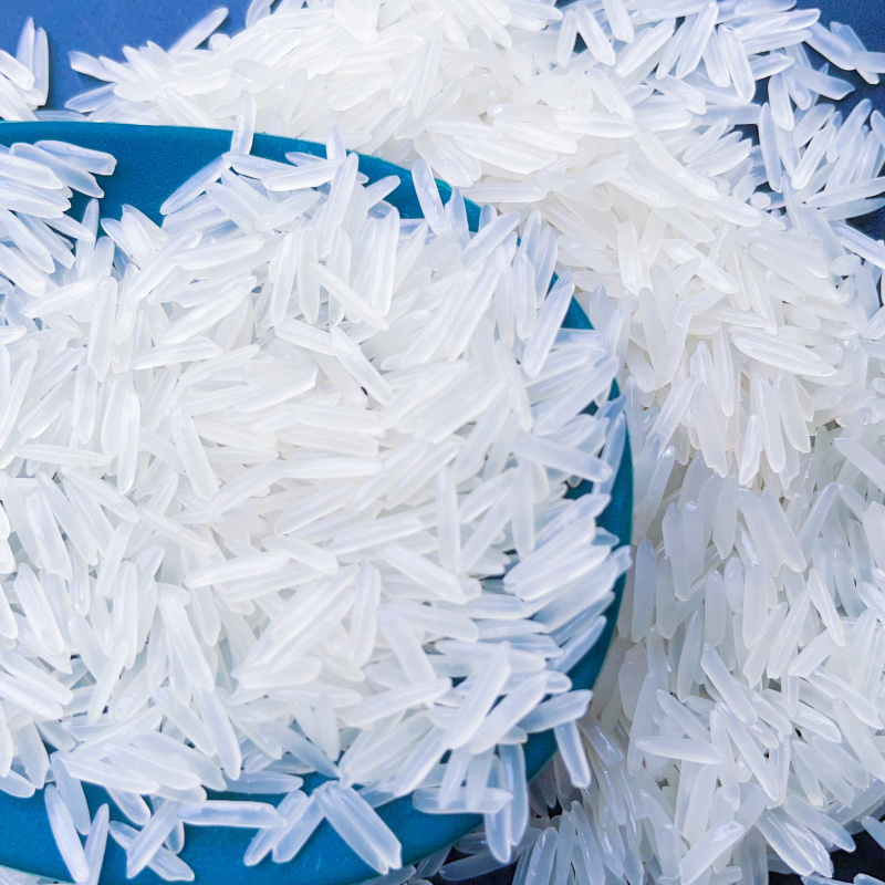 绿宝贡新品低价1斤装丝苗米新米真空包装正宗农家长粒香优质大米南方