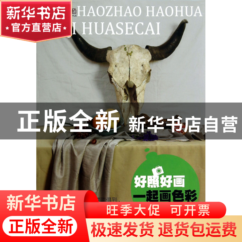 正版 好照好画一起画色彩/央美有约 李雁|摄影:杜学明 重庆大学 9高清大图