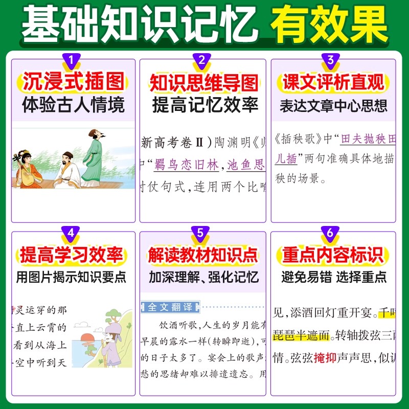 英语词汇(乱序版) 高中通用 [正版]2025图解速记高中全套语文数学英语物理化学生物历史地理思想政治公式定律基础知识手高清大图