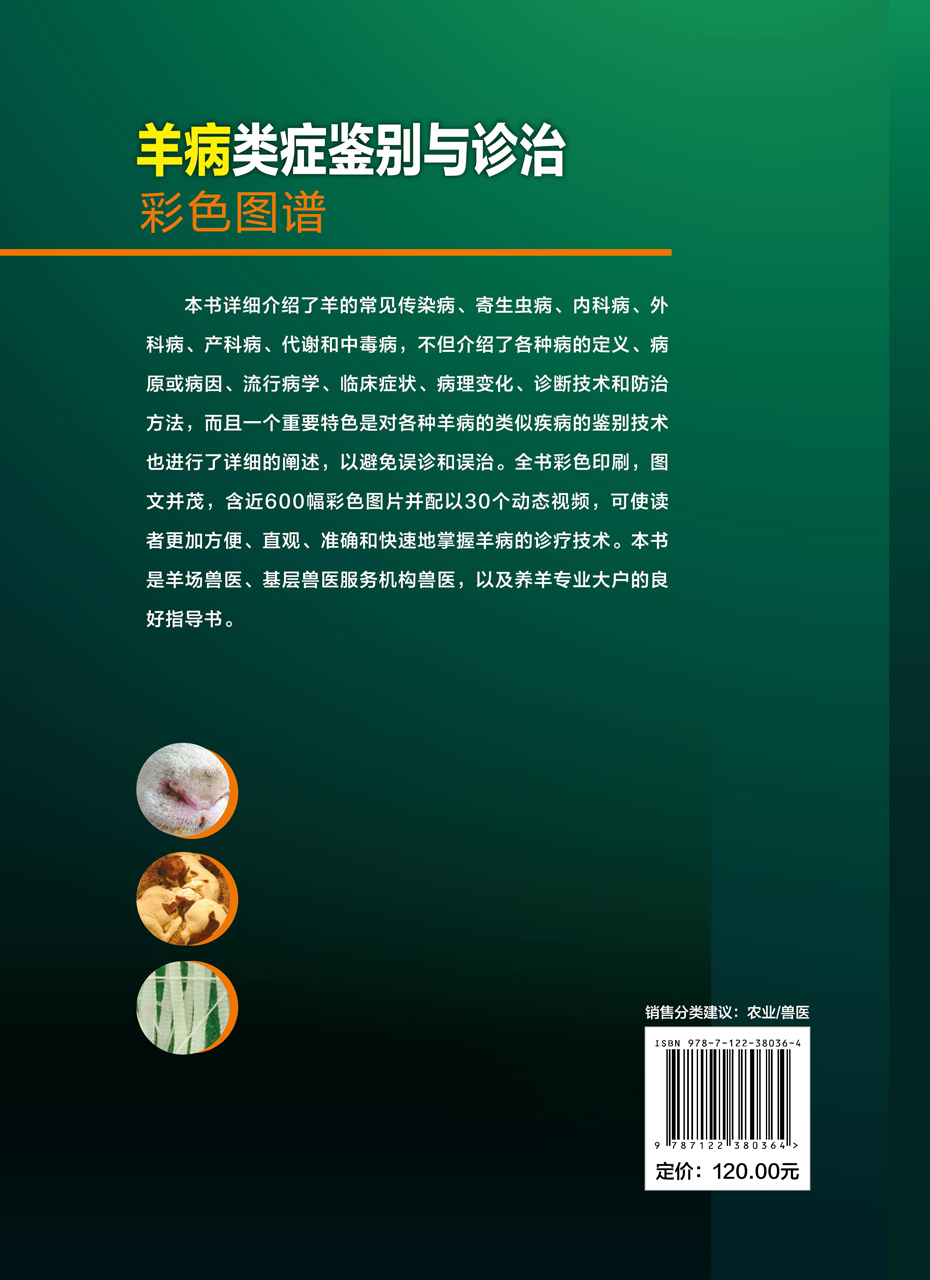 [醉染正版]正版 羊病类症鉴别与诊治彩色图谱 1化学工业出版社 马玉忠 主编高清大图