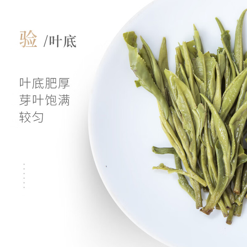 谢裕大绿茶雨前特级烘青绿茶黄山毛峰匠心1000绿茶100g高清大图