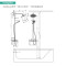 汉斯格雅双飞雨功能恒温花洒27215s(26173007)定制款三出水龙头沄雨顶喷+手持升级境雨手持