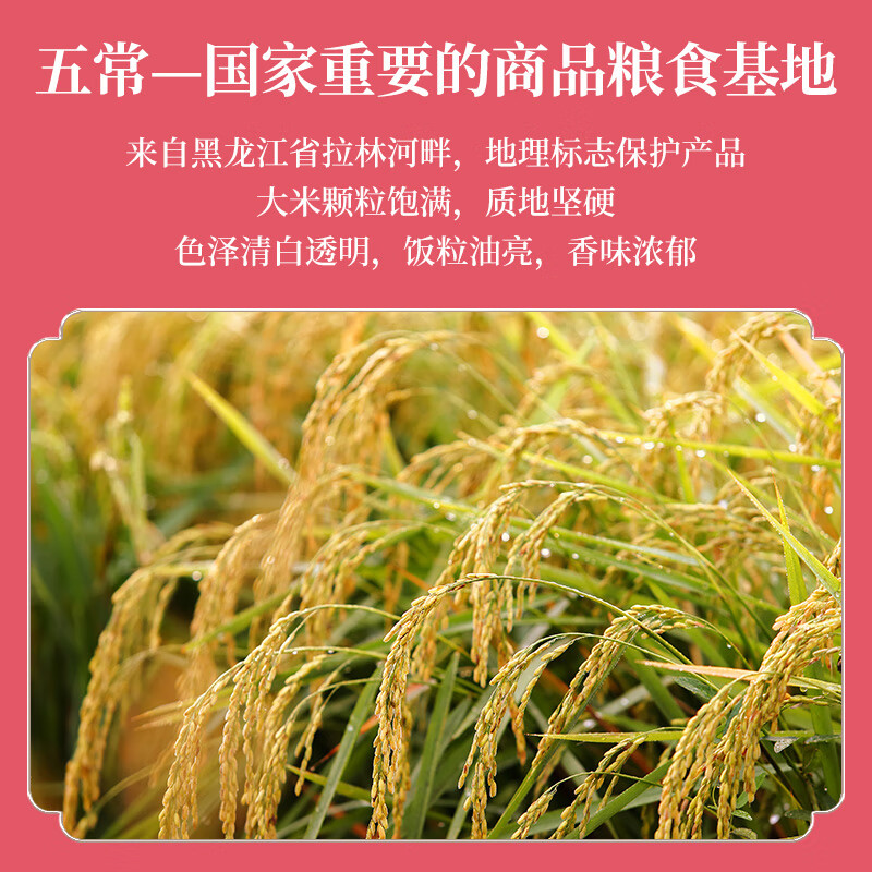 十月稻田五常SYDT大米2.5KG/袋高清大图