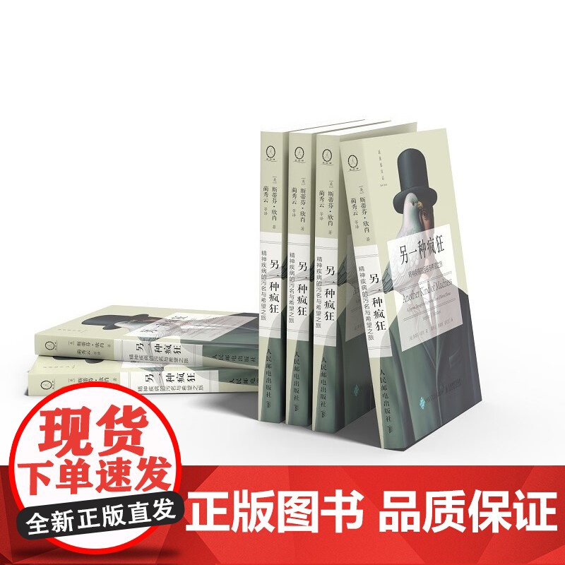 另一种疯狂 精神疾病的污名与希望之旅 斯蒂芬·欣肖 著 心理学高清大图
