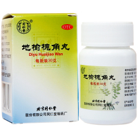 一盒约三天量】同仁堂 地榆槐角丸 30g*1瓶/盒