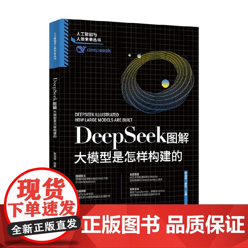 DeepSeek图解 大模型是怎样构建的 张治政等 著 计算机与互联网高清大图