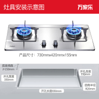 万家乐 燃气灶煤气灶灶台嵌两用灶具 猛火爆炒 易擦洁净设计 不锈钢高效猛火 大火力4.2kw液化气JZY-DQZ01