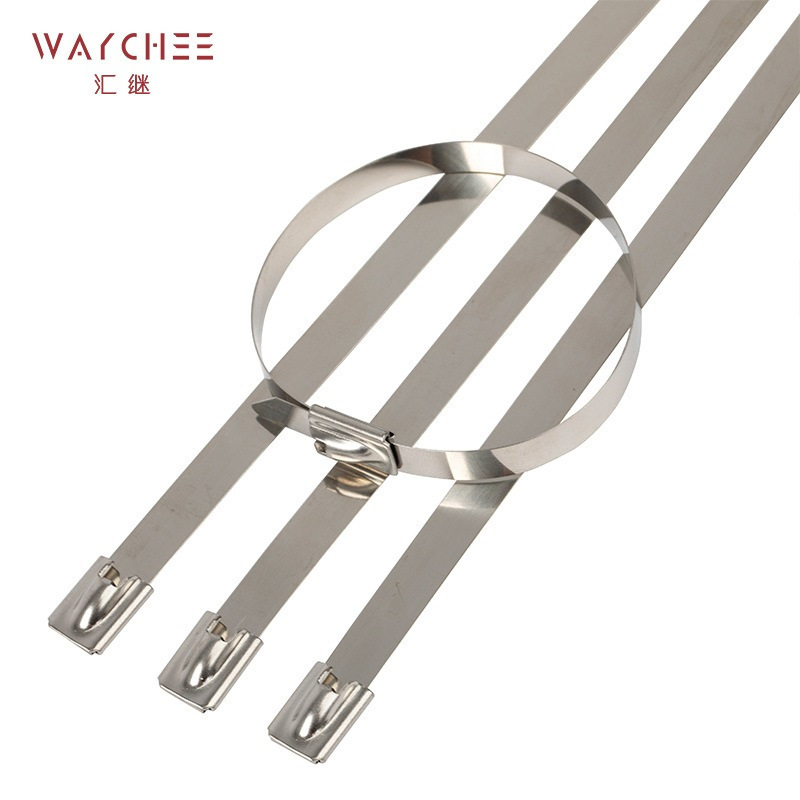 汇继 不锈钢扎带 4.6*150mm/个高清大图