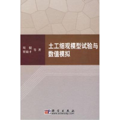 11岩土工细观模型试验与数值模拟978703020241322
