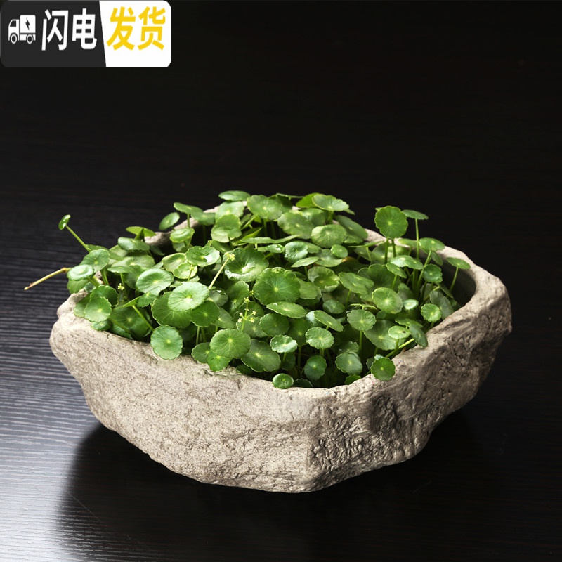 三维工匠铜钱花盆陶瓷水培碗莲一叶莲水仙花金钱专用无孔大号多肉 肚径20富春山居图 大花盆容器高清大图