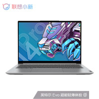 联想(Lenovo)小新Pro14 十一代酷睿 I5-11320H/16G/512G/集/14英寸/银 2.8k高清分辨率 win11 商务办公 网课学习 企业采购