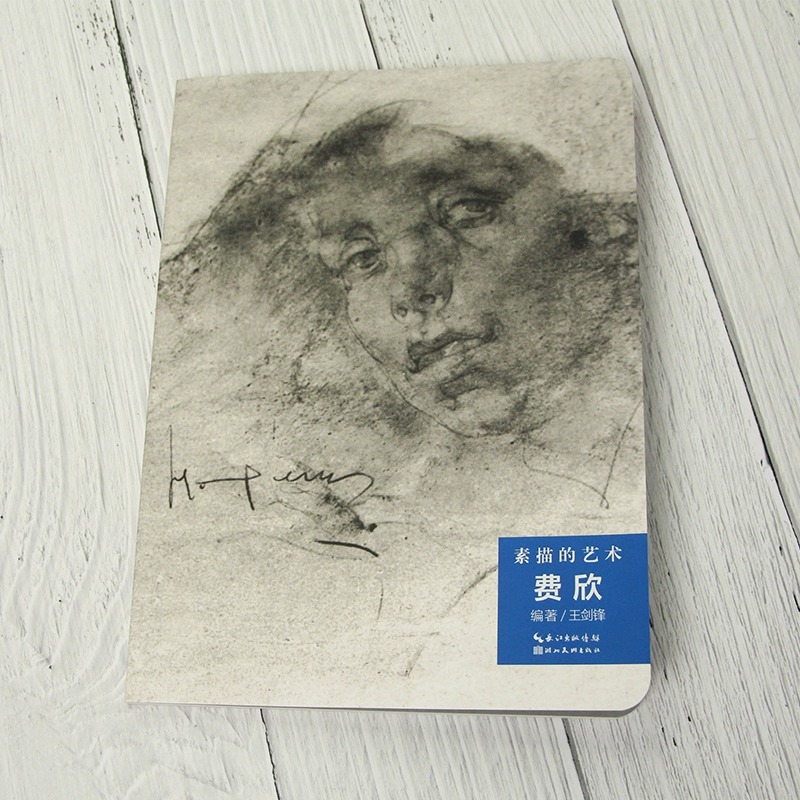 [正版]素描的艺术 费欣 展示了西方600年间素描艺术的发展历程、流派风格及素描大师费欣的技法特征书店书籍高清大图