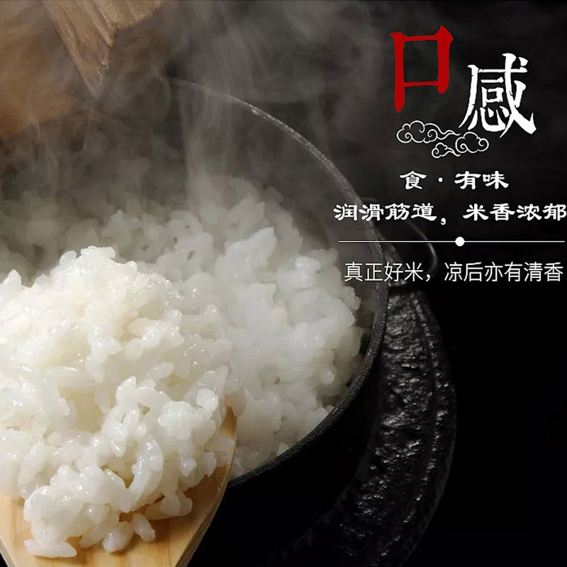 绿农晓镇长粒香大米5kg