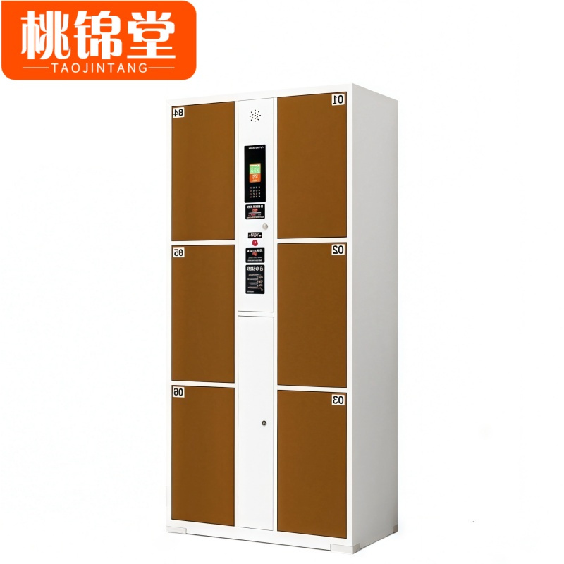 桃锦堂存包柜