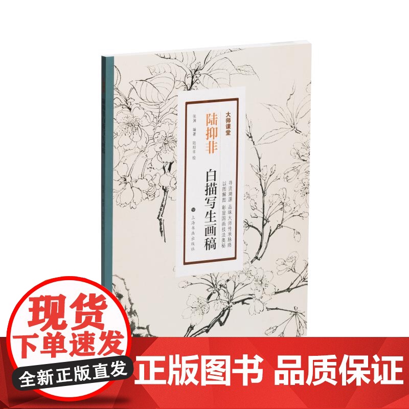陆抑非白描写生画稿 大师课堂 张渊编陆抑非绘上海书画出版社近现代花鸟画大家展现白描人物写生教学图谱高清大图