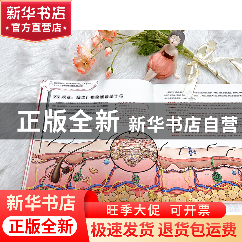 正版 孩子读得懂的人体奥秘:全景手绘版 黄桂钗著 北京理工大学高清大图