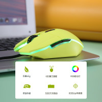 达尔优EM910 牧马人鼠标KBS轻量化电竞游戏有线鼠RGB灯光CF吃鸡LOL支持宏EM910轻量化[荧光绿 迷你版]