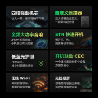 雷鸟雀4 25款32英寸4K四核机芯高清智能网络WiFi语音低蓝光认证液晶平板电视机快速开机32F195C