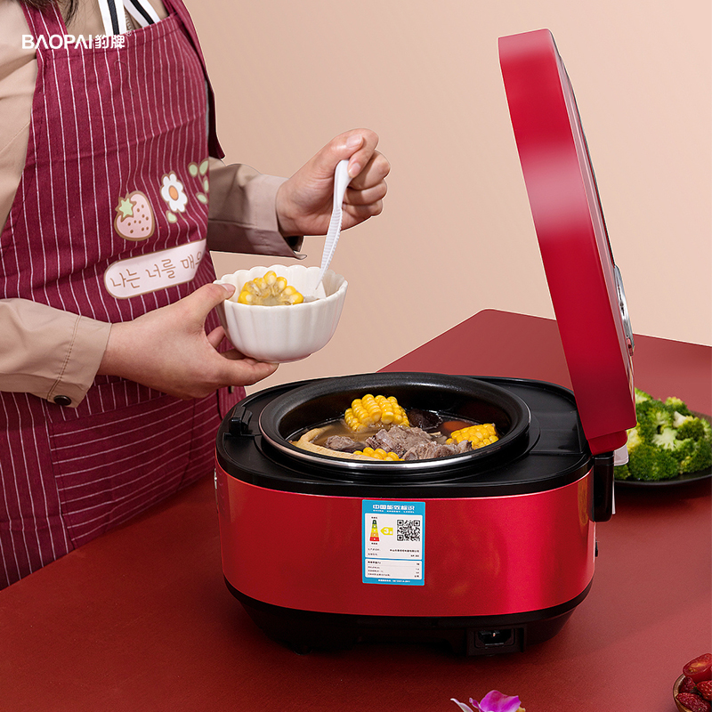 豹牌多功能电饭煲BP-WB138 5L高清大图