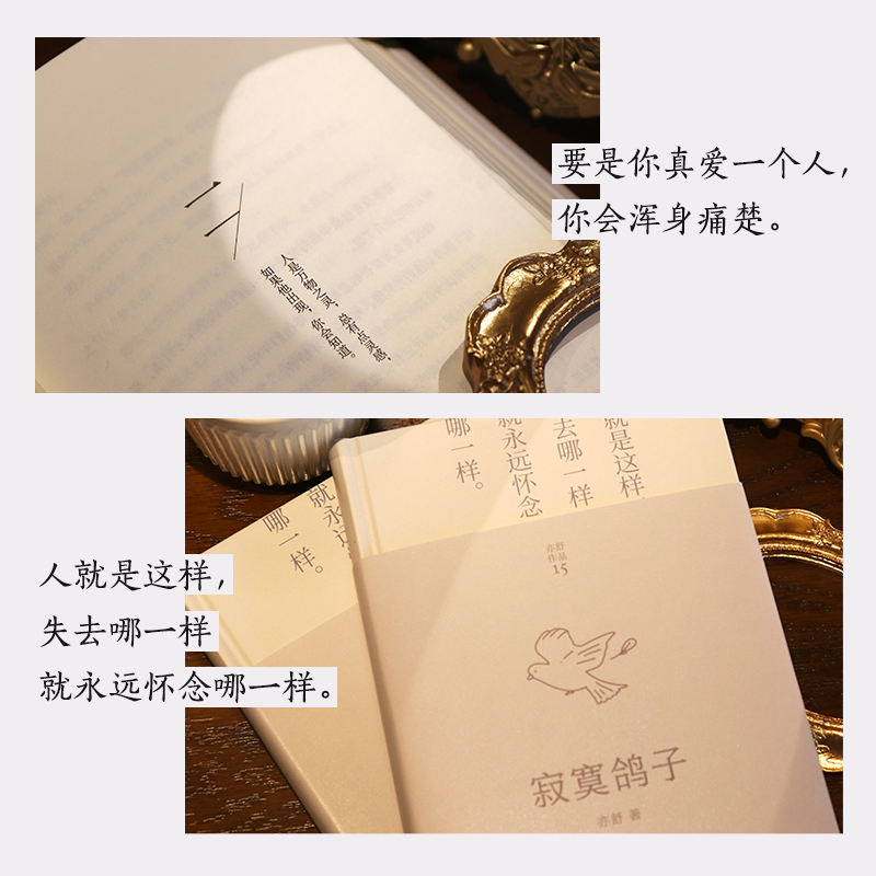 [正版]寂寞鸽子(2022)/亦舒 亦舒 著 外国诗歌文学 书店图书籍 湖南文艺出版社高清大图