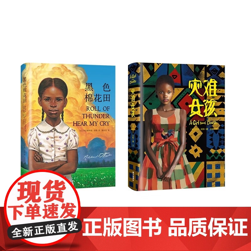 黑色棉花田+灾难女孩 精装 国际大奖小说成长系列 关于勇气、爱和信念的成长教科书 纽伯瑞获奖作品 天下智慧高清大图