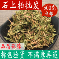 石上柏中药材 500克岩柏草 地侧柏 金龙草 深绿卷柏中草药店铺