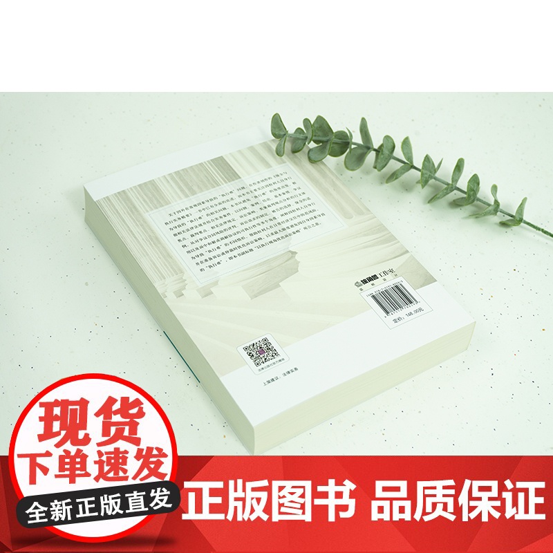 2023新书 诉讼执行一体化:以执行视角优化诉讼策略 吴志强 张烨著 合同签署风险提示 法律出版社高清大图